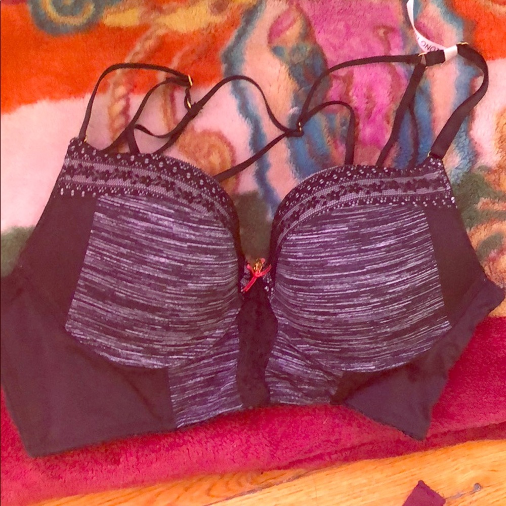 Daysi Fuentes bra